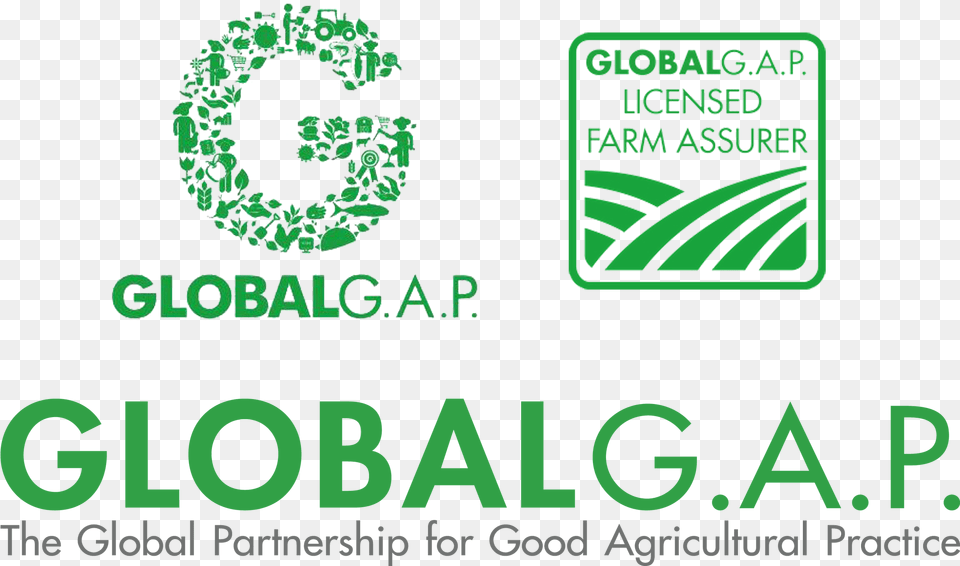 Certificazioni Global Gap Logo Globalgap, Green, Text, Plant, Accessories Free Png