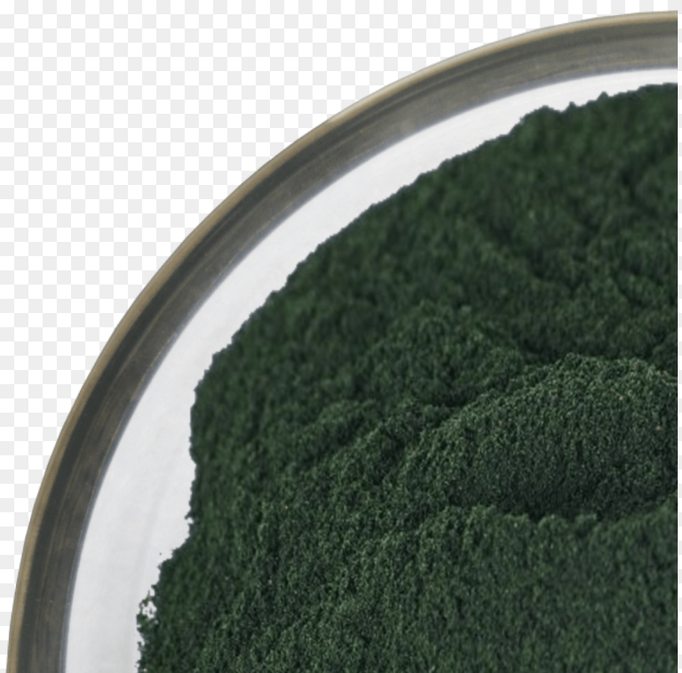 Certified Dried Kelp Powder For Grass, Plant, Vegetation, Tree Png Image