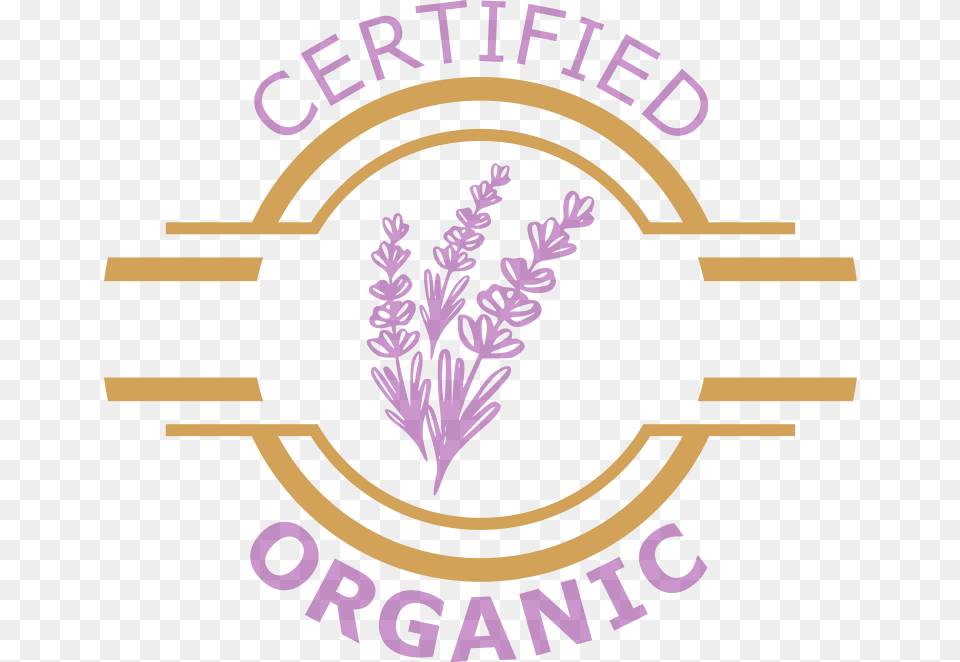 Certified Drs Agent Logo Free Transparent Png