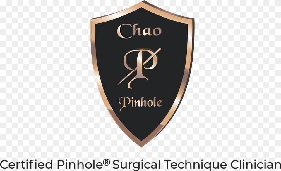 Certified Pinhole Technique Emblem, Armor, Shield, Disk Png Image