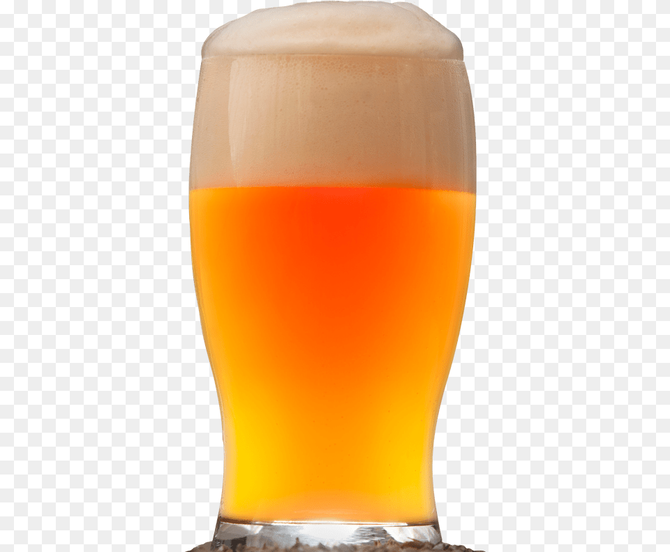 Cerveza Artesana Ecolgica Beer Glass, Alcohol, Beer Glass, Beverage, Liquor Free Transparent Png