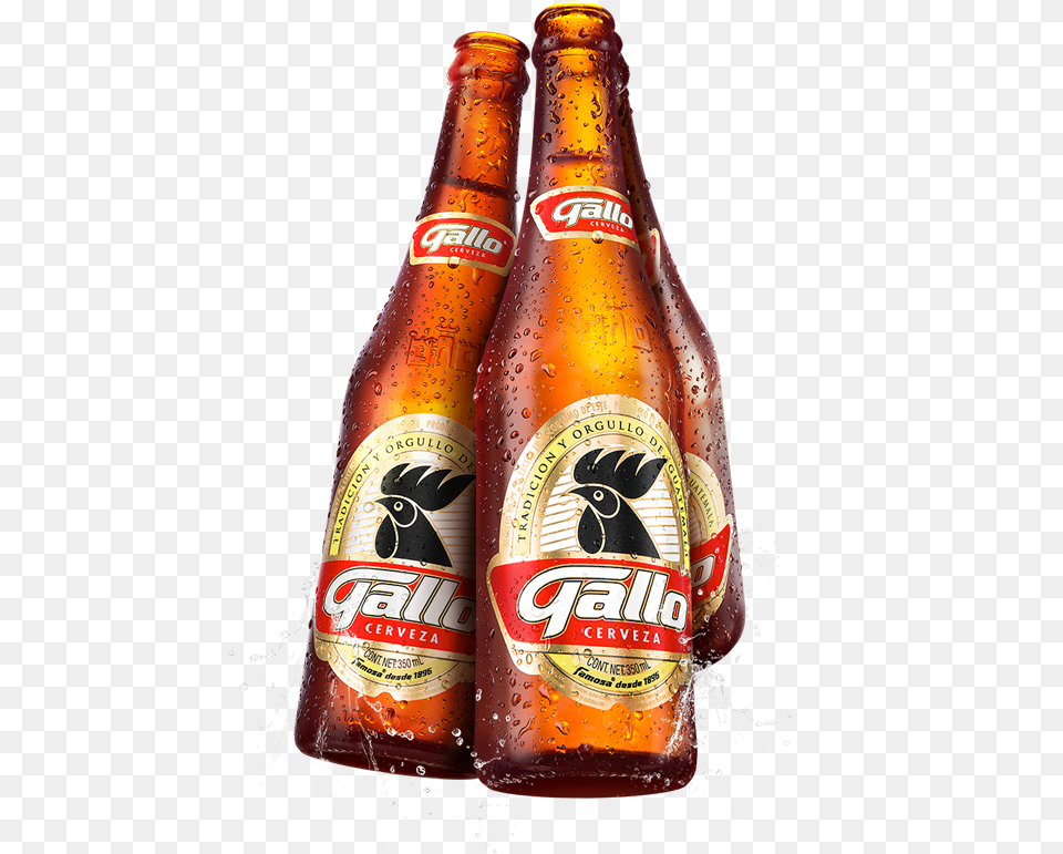 Cerveza Gallo, Alcohol, Beer, Beer Bottle, Beverage Free Png Download
