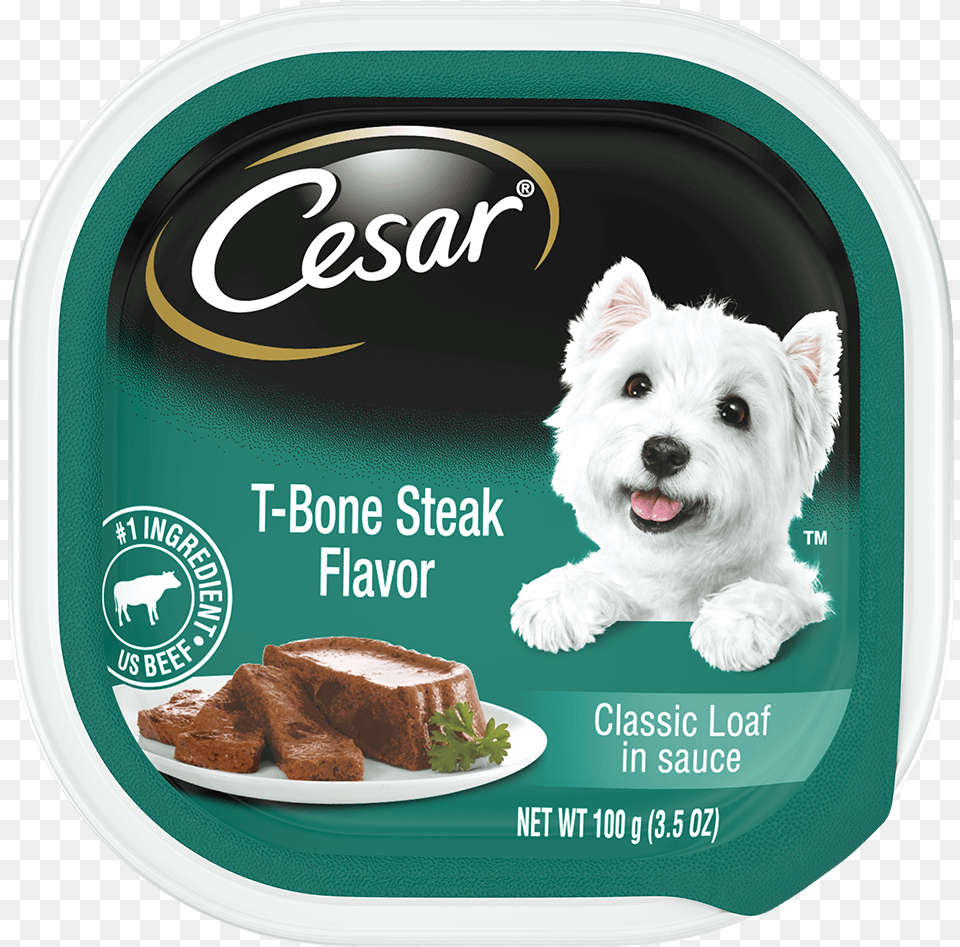 Cesar Dog Food Beef, Lunch, Meal, Pet, Mammal Png