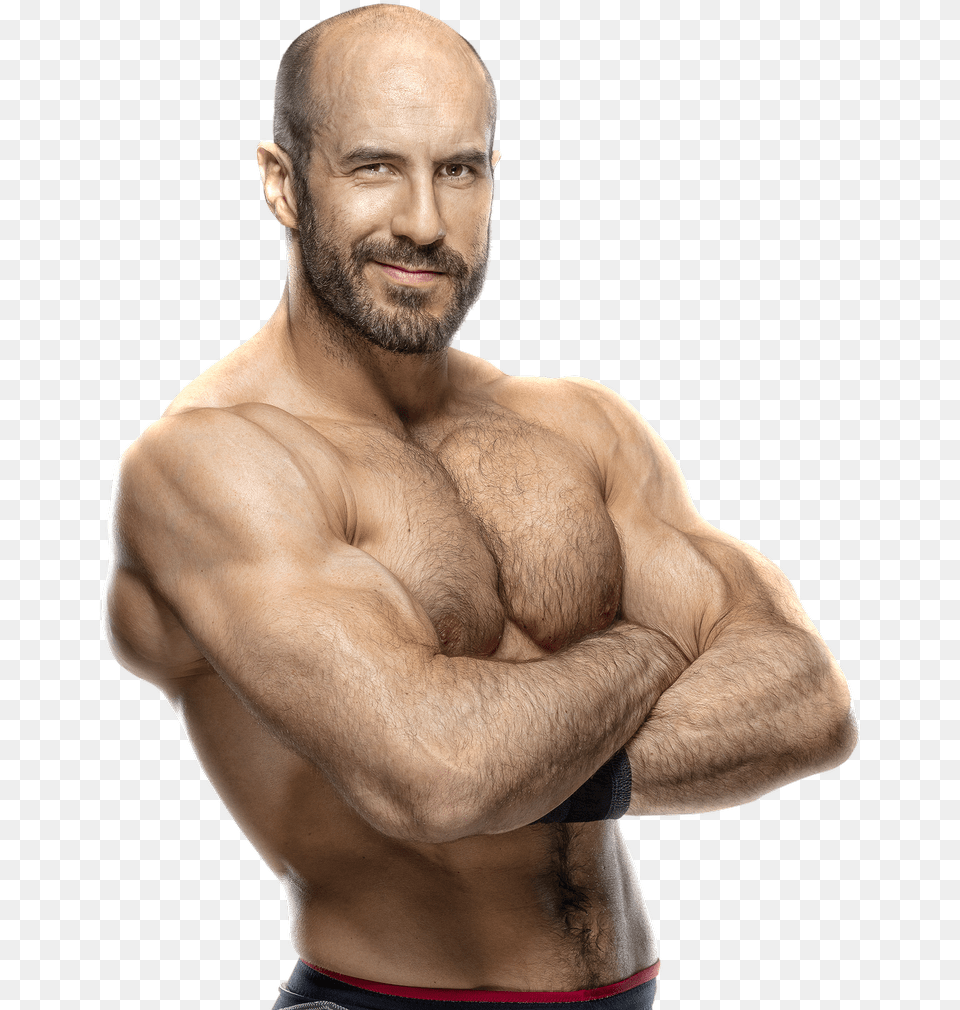 Cesaro, Adult, Person, Man, Male Png