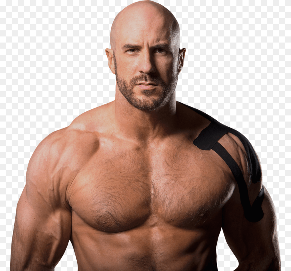 Cesaro Wwe Cesaro 2017, Adult, Male, Man, Person Png Image