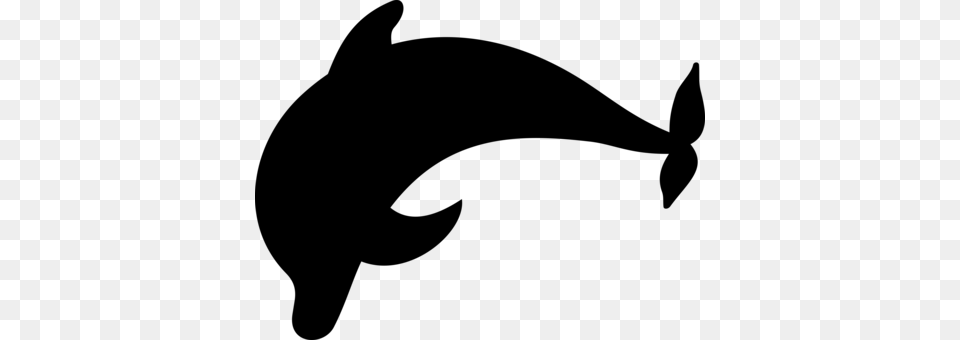 Cetacea Whale Conservation Beluga Whale Killer Whale Blue Whale, Gray Free Transparent Png