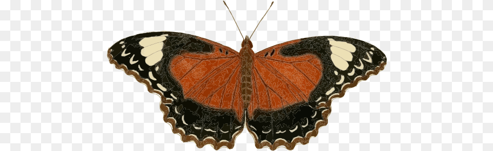 Cethosia Cydippe Butterfly Insect Borboleta Inseto Mariposa Insecto, Animal, Invertebrate, Chandelier, Lamp Png Image