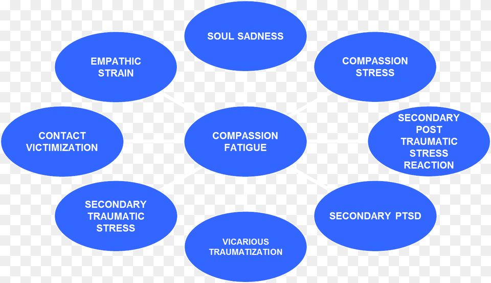 Cf Related Concepts Quality Cycle In Product Development, Diagram, Disk, Uml Diagram Free Transparent Png