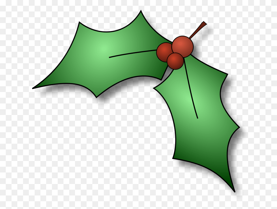 Cfry Holly, Green, Leaf, Plant Png