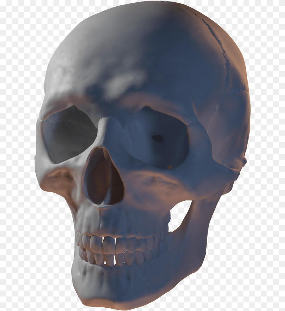 Cgi Skull, Head, Person, Face Png