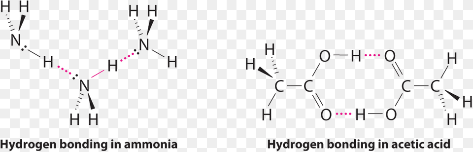 Ch 3co 2h And Nh Hydrogen Bonding Of Ammonia, Chart, Plot Free Png Download