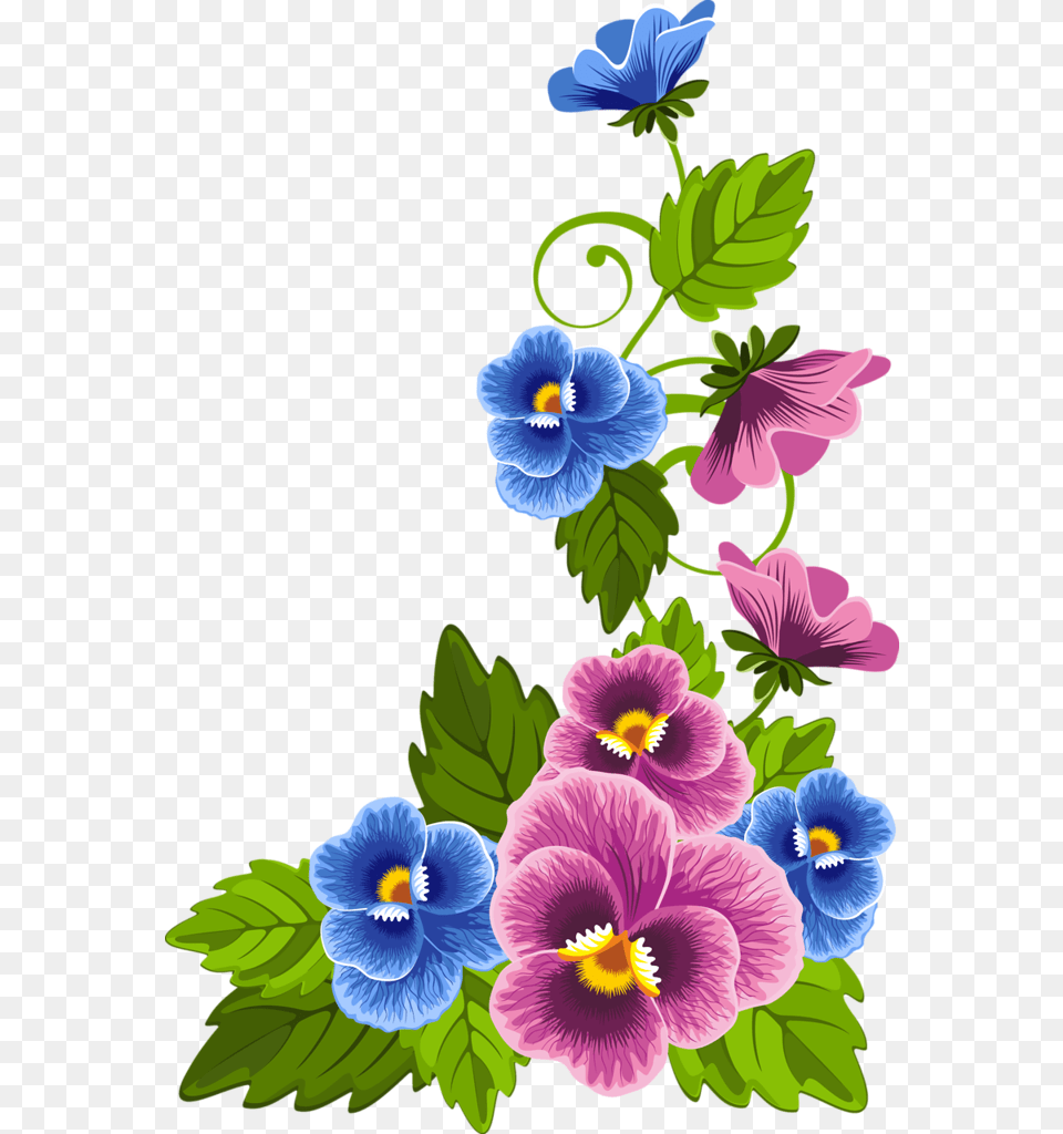 Ch B Esquineras, Flower, Plant, Anemone, Pansy Free Png Download