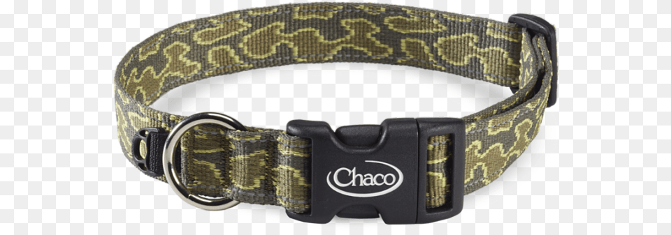 Chaco, Accessories, Collar, Animal, Reptile Free Png Download