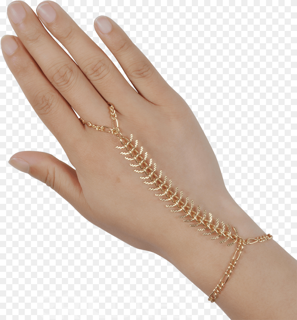 Chain, Accessories, Jewelry, Bracelet, Person Png Image