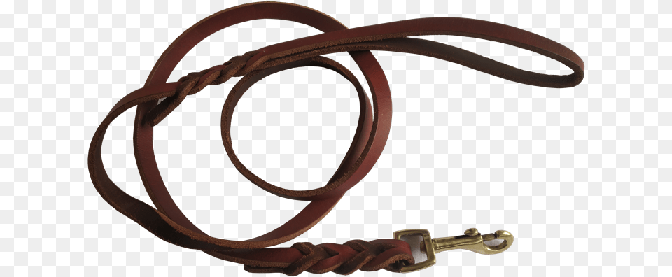 Chain, Leash Png