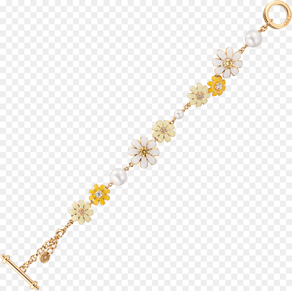 Chain, Accessories, Bracelet, Earring, Jewelry Png Image