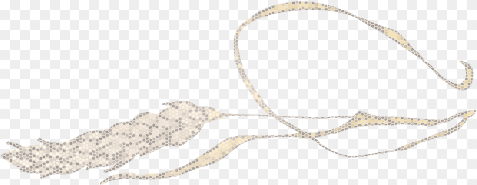 Chain, Accessories Png