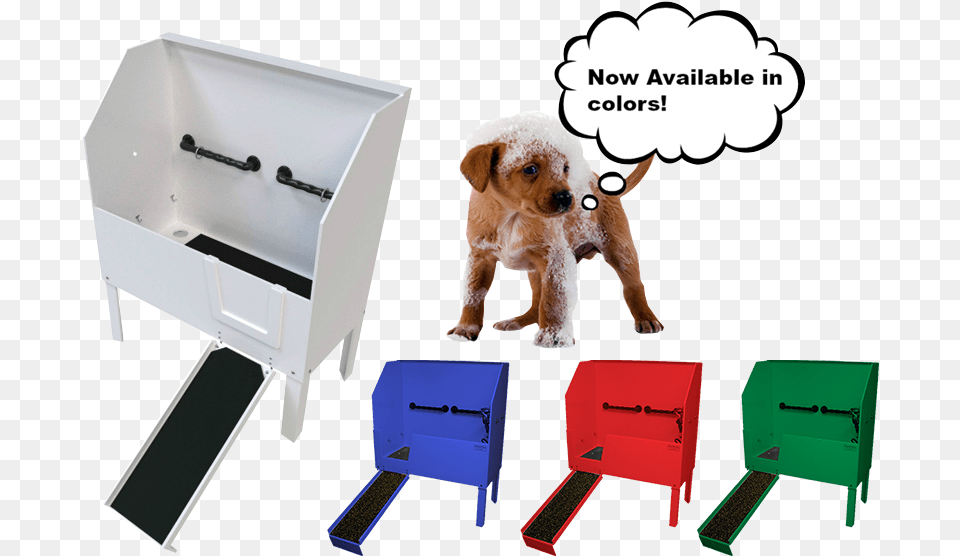 Chair, Drawer, Furniture, Animal, Canine Free Transparent Png