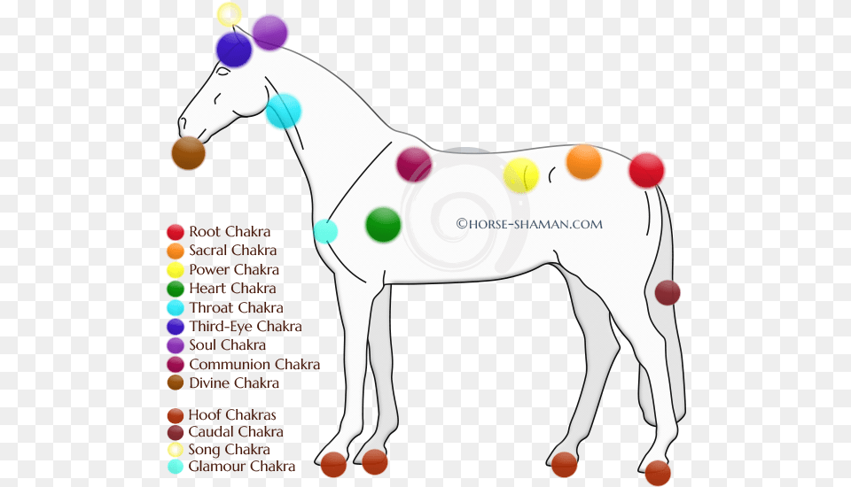 Chakras On A Horse, Ball, Sport, Tennis, Tennis Ball Free Transparent Png