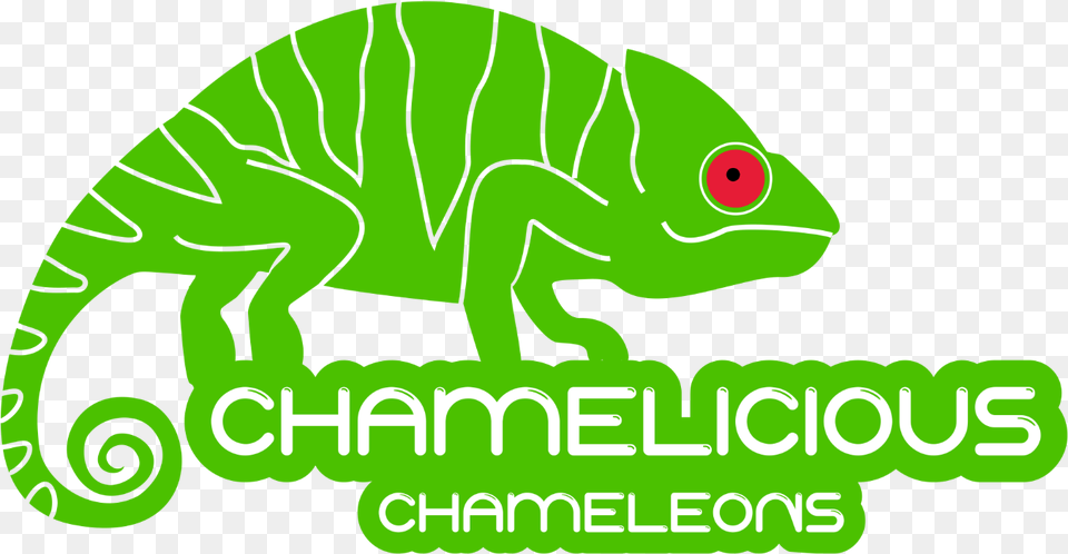 Chameleon, Animal, Lizard, Reptile, Green Lizard Free Png Download