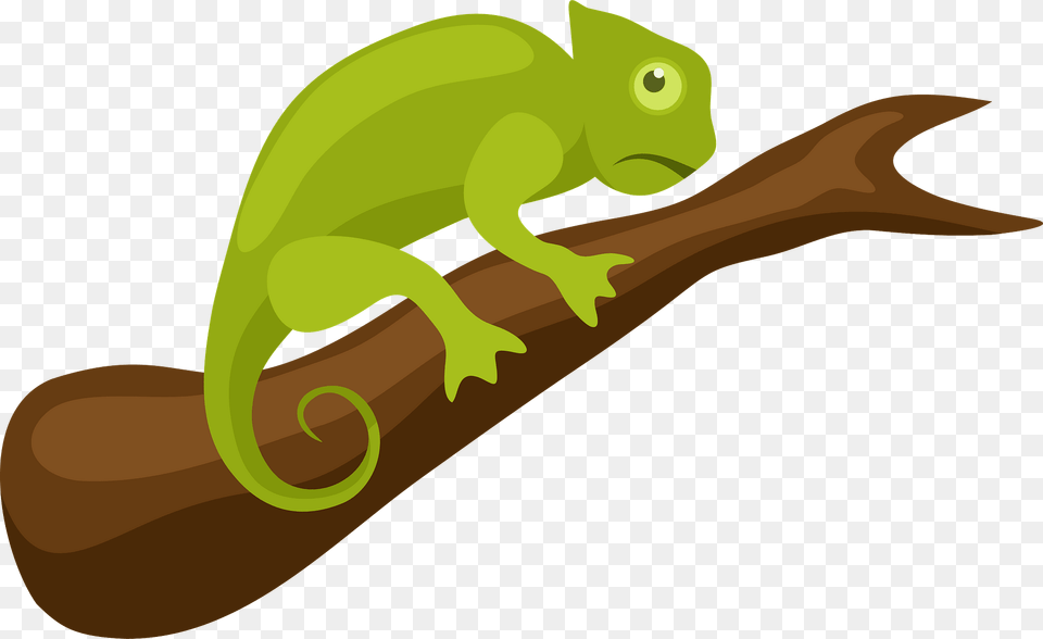 Chameleon Clipart, Animal, Lizard, Reptile, Gecko Png Image