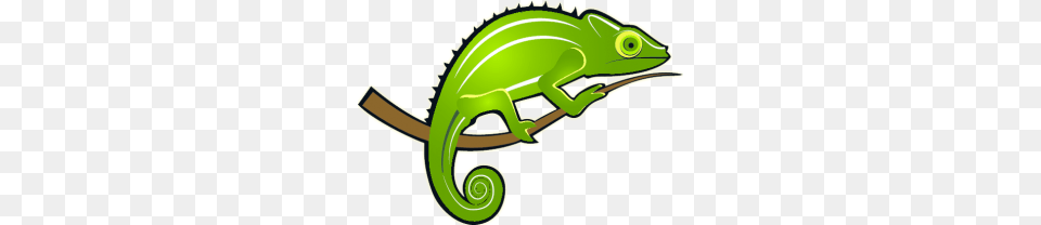 Chameleon Clipart, Animal, Reptile, Lizard, Green Lizard Free Png