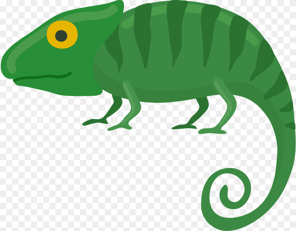 Chameleon Clipart, Animal, Lizard, Reptile, Green Lizard Png
