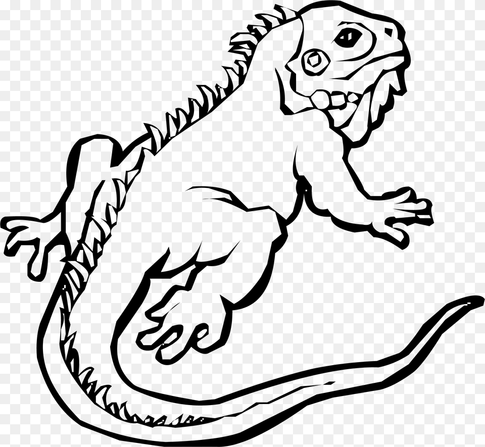 Chameleon Clipart Iguana Iguana Clipart Black And White, Gray Free Png