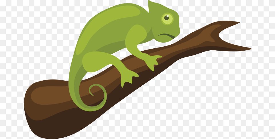 Chameleon Clipart Images Clip Art Images, Animal, Lizard, Reptile, Gecko Free Png Download