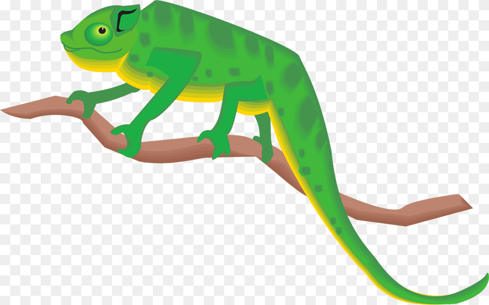 Chameleon On A Branch Clipart, Animal, Lizard, Reptile, Green Lizard Png Image