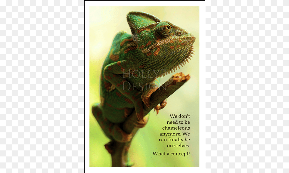 Chameleon We Don39t Need To Be Chameleons Anymore Hd Chameleon, Animal, Iguana, Lizard, Reptile Free Png Download