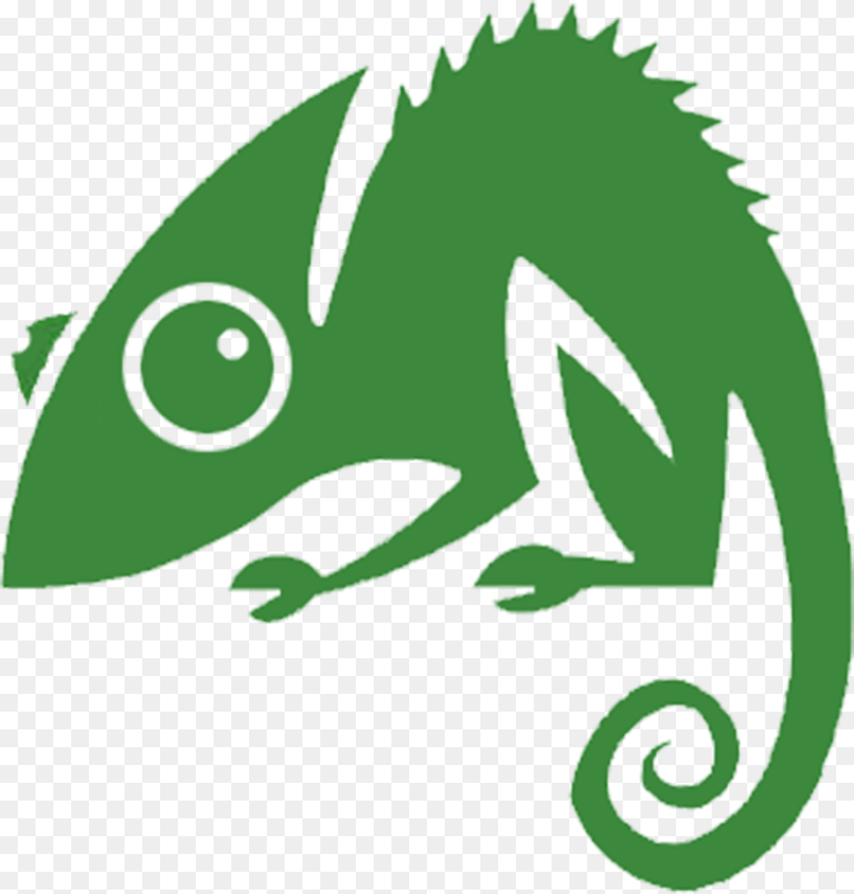 Chameleon Web Services Logo Png