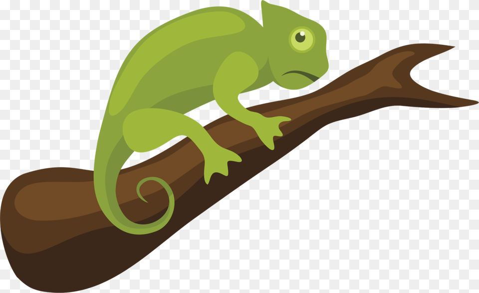 Chameleons Reptile Drawing Chameleon Chameleon Can Stock Photo, Animal, Lizard, Gecko, Green Lizard Free Png Download