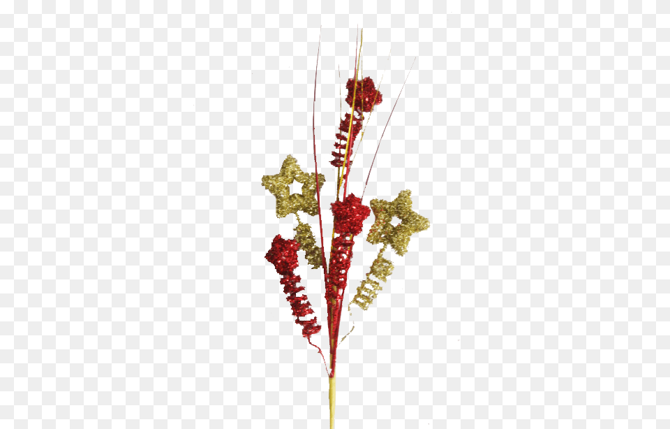Chamizo Estrellas Rojo Y Dorado Floral Design, Animal, Sea Life, Mammal, Plant Free Png