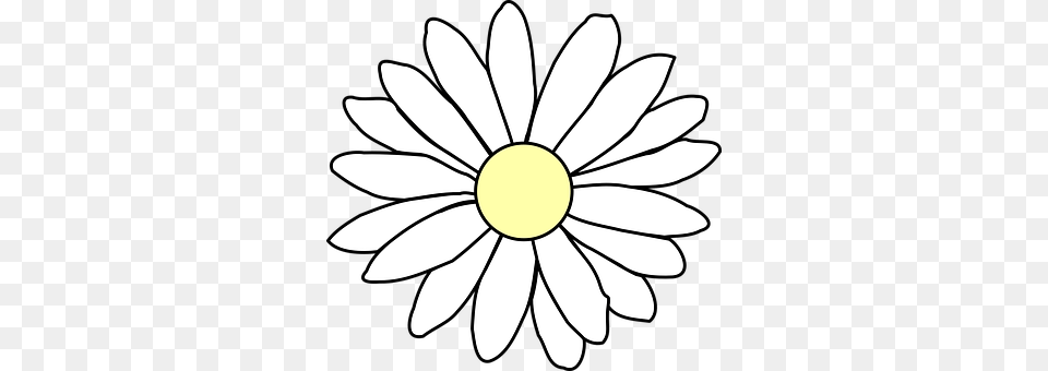 Chamomile Daisy, Flower, Plant, Petal Free Png Download
