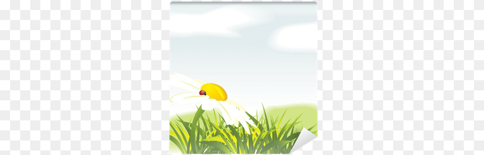 Chamomile And Ladybird Among Grass Roman Chamomile, Plant, Vegetation, Outdoors, Art Png Image