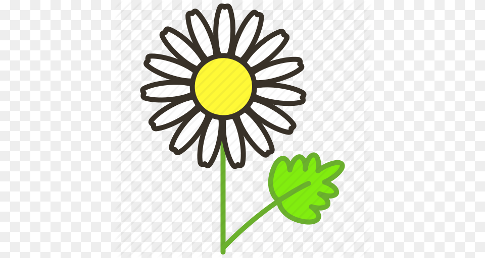 Chamomile Ecology Environment Flower Garden Plant Icon, Daisy Free Transparent Png