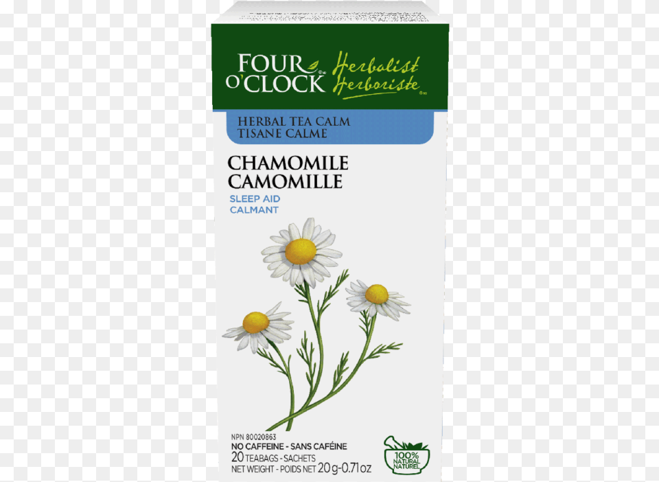 Chamomile Four O39clock Herbalist Chamomile Herbal Tea, Daisy, Flower, Herbs, Plant Png Image