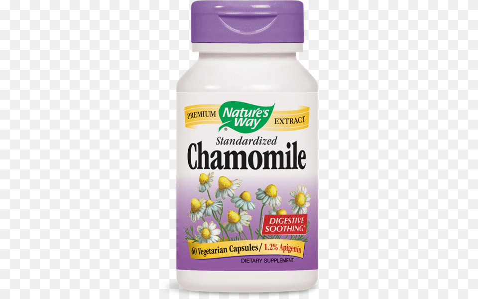 Chamomile Nature39s Way Gymnema, Herbal, Herbs, Plant, Astragalus Free Transparent Png