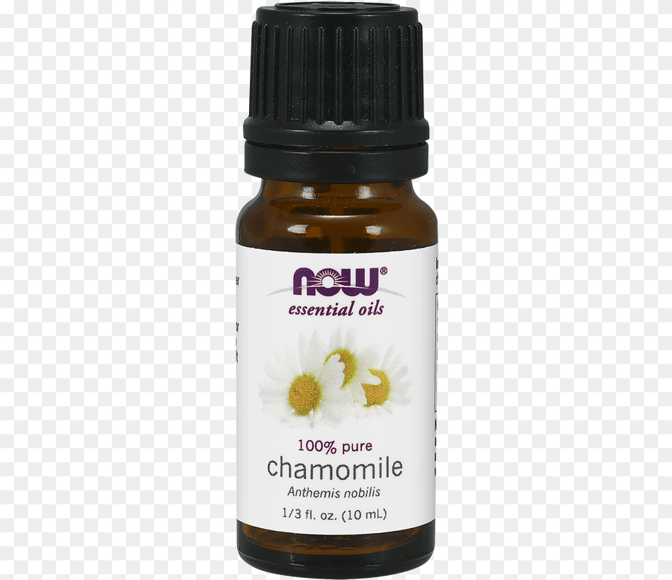 Chamomile Oil, Herbal, Herbs, Plant, Daisy Free Png