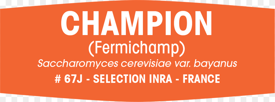 Champ 1 Yeast, Advertisement, Poster, Text Free Transparent Png