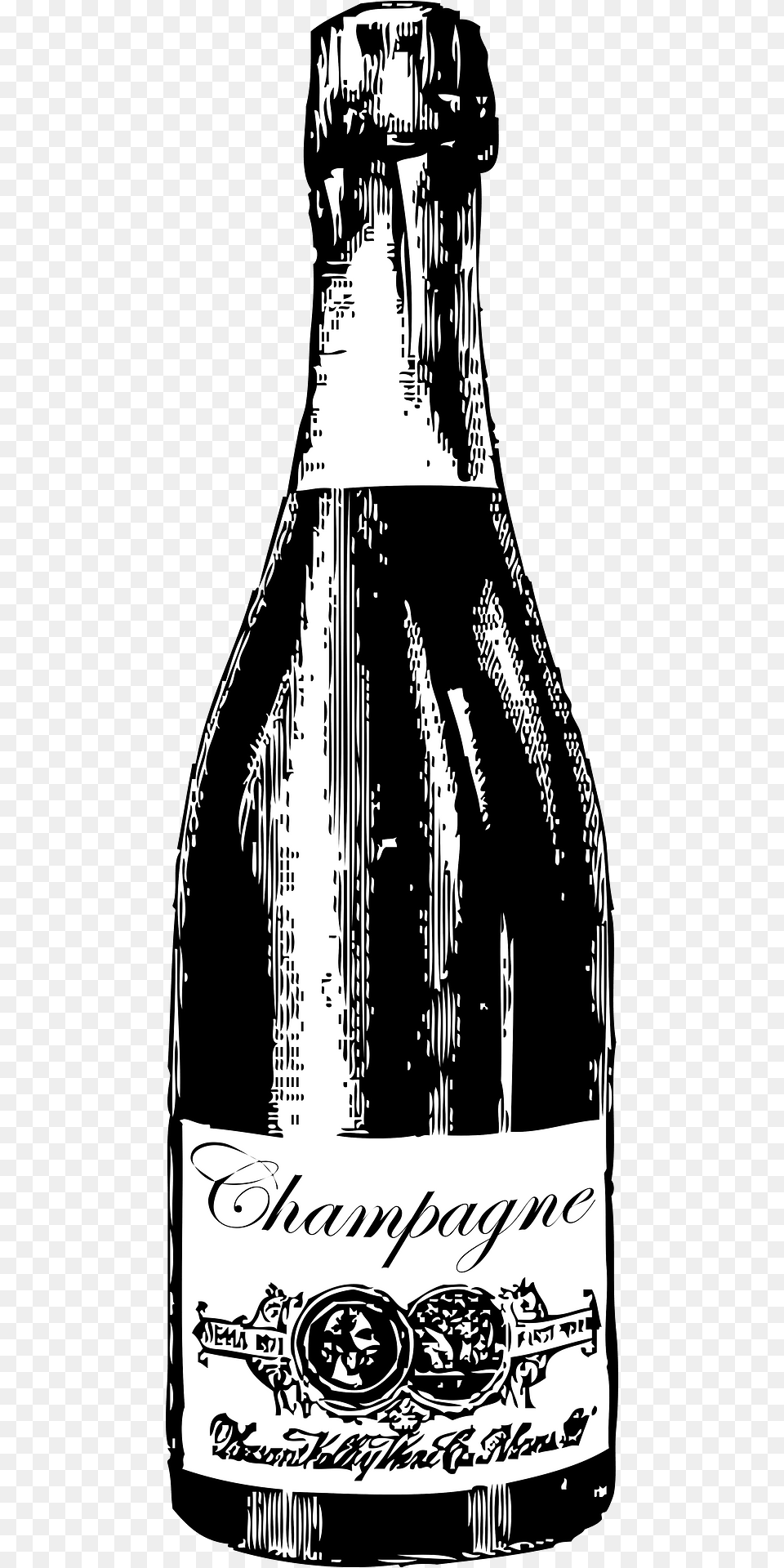 Champagne Bottle Clipart, Adult, Wedding, Person, Female Free Transparent Png