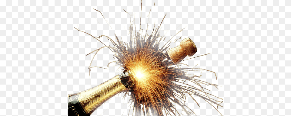 Champagne Explosion, Plant, Fireworks Png