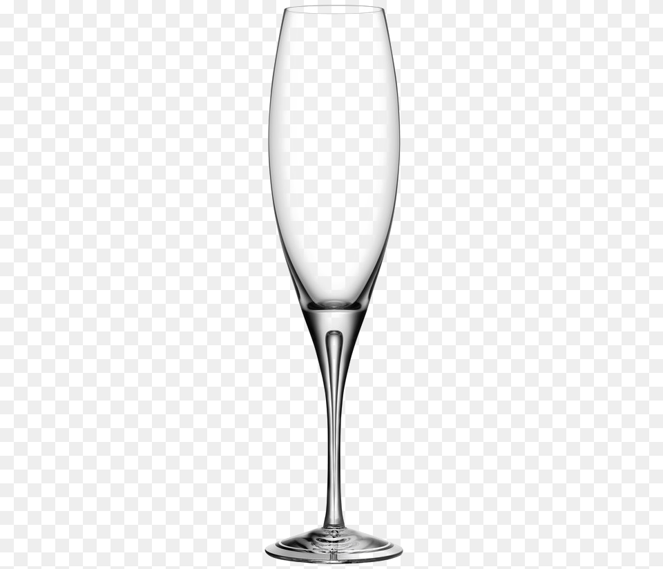 Champagne Glass High Quality Orrefors Intermezzo Air 7 Ounce Champagne Flute, Alcohol, Beverage, Goblet, Liquor Png Image