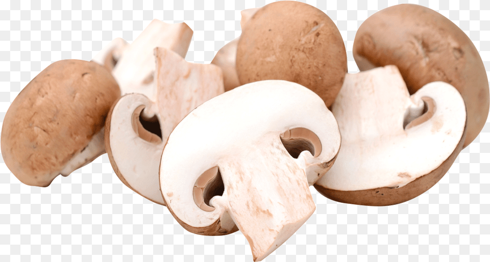 Champignon Mushroom, Fungus, Plant, Agaric, Bread Free Transparent Png