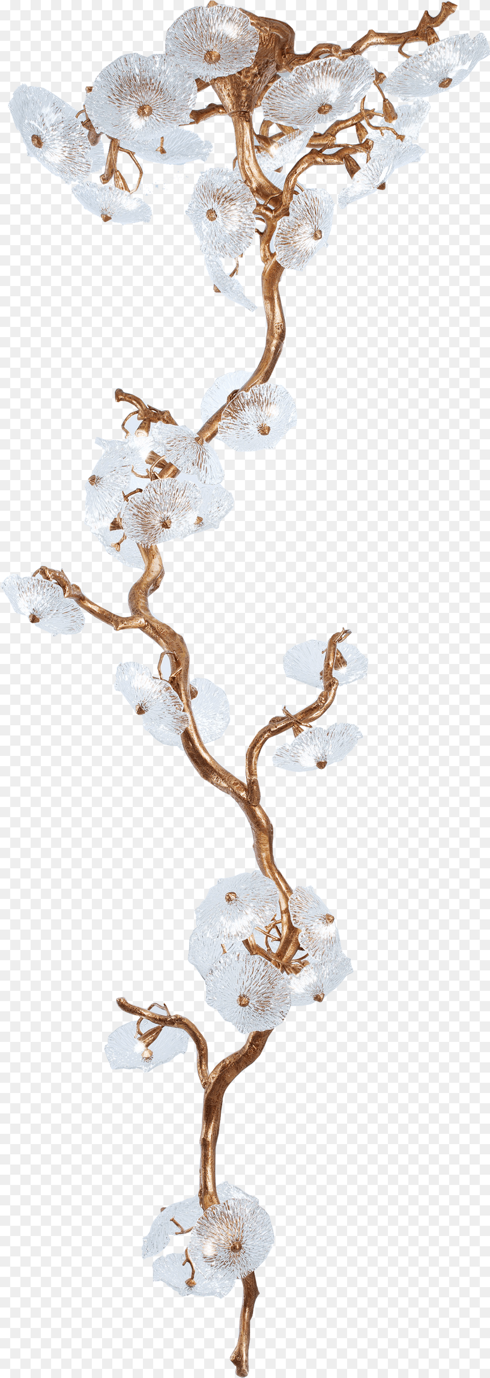 Chandelier, Wood, Plant, Fungus Png Image