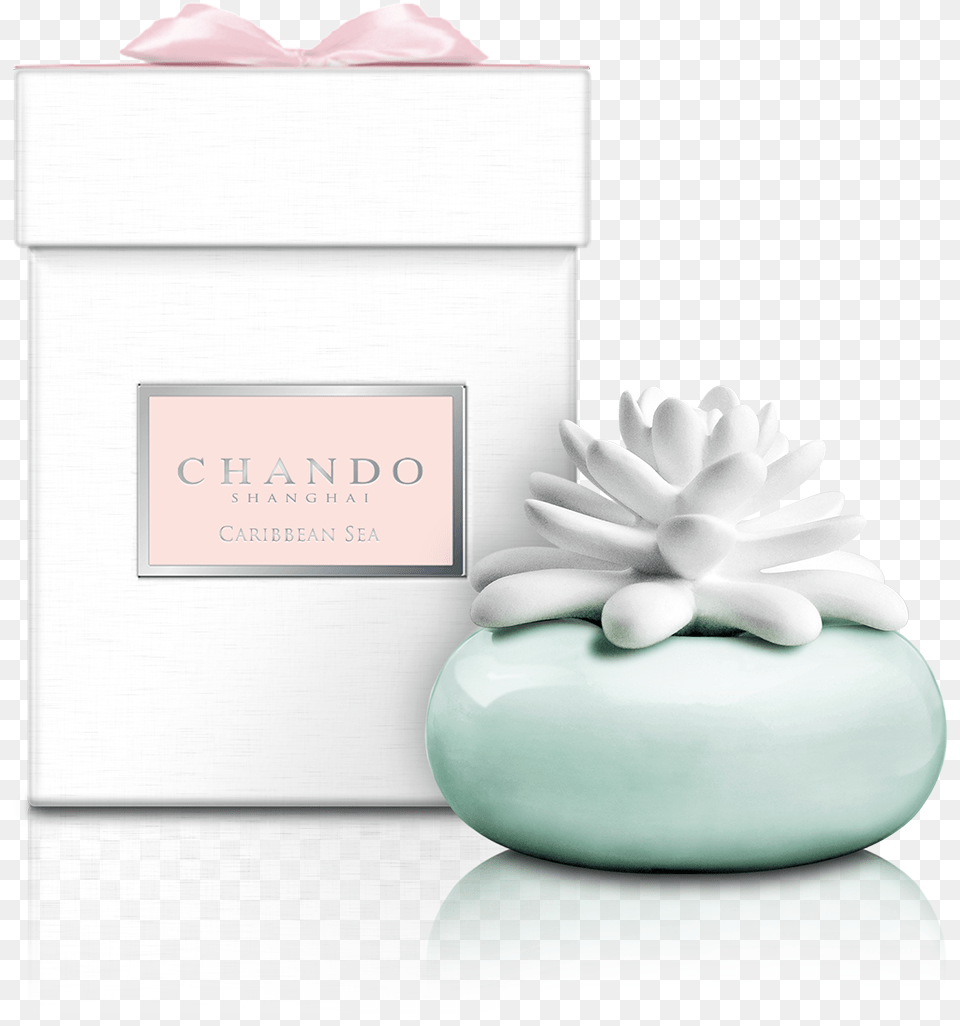 Chando Porcelnov Aroma Difuzr Bl Mini Kaktus, Jar, Pottery, Soap Free Transparent Png