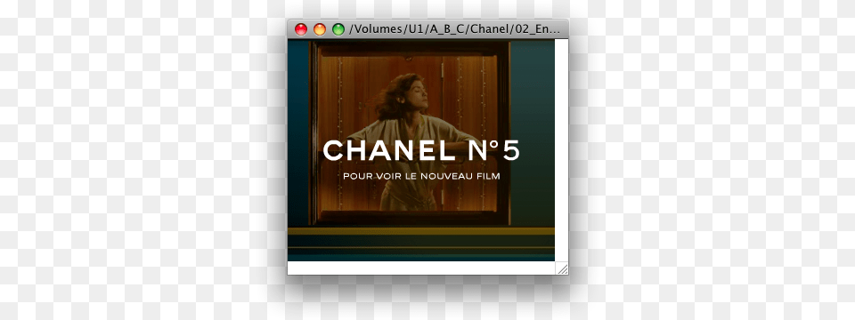 Chanel No 5 2010 Chanel, Adult, Female, Person, Woman Png Image