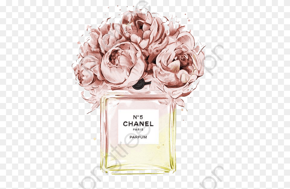 Chanel Perfume Clipart Flower Transparent Cartoons Chanel No 5 Flowers, Bottle, Cosmetics, Plant, Wedding Free Png