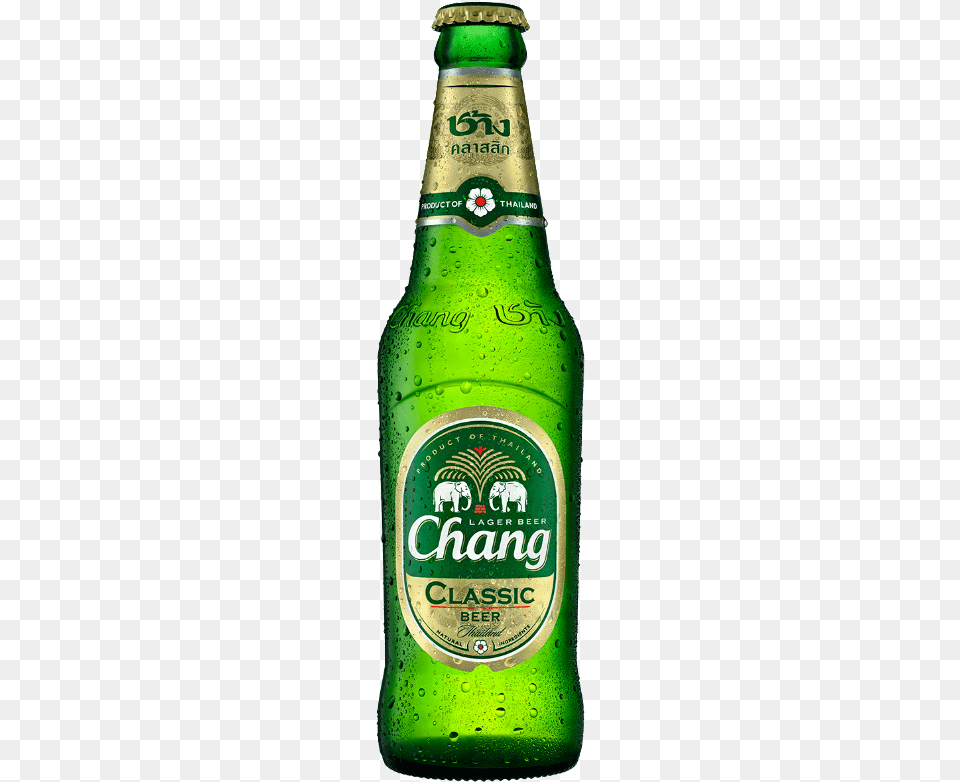 Chang Beer Bottle 320ml 9 Chang Beer, Alcohol, Beer Bottle, Beverage, Lager Png Image